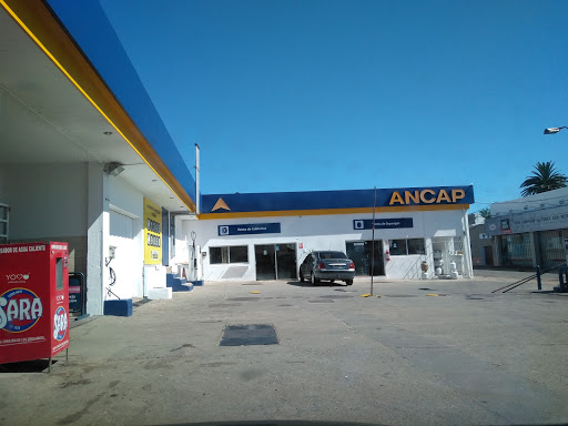 Banco Ancap