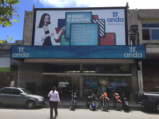 Banco Anda Las Piedras