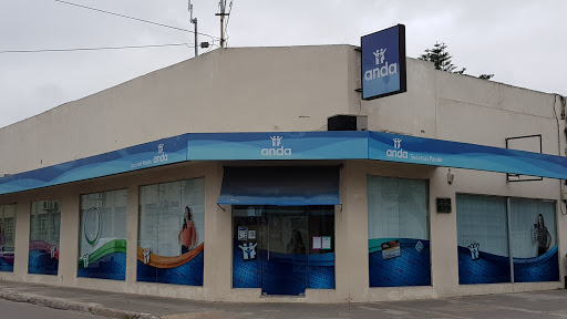 Banco Anda Sucursal Pando