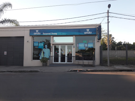 Banco Anda Sucursal Young