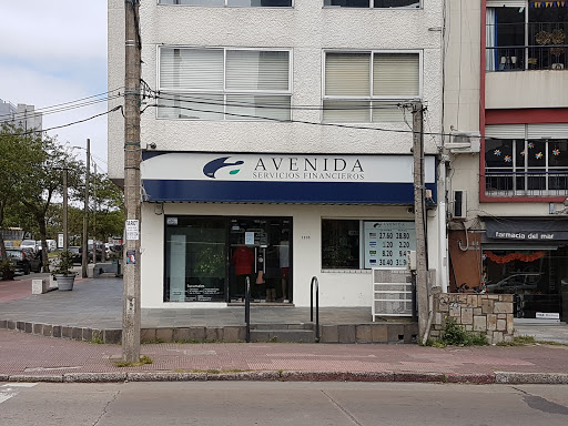 Banco Avenida Servicios Financieros
