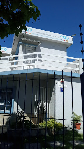 Banco Banco De Seguros Del Estado, Agencia Piedras Blancas