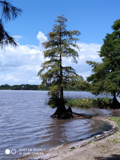 banco Bosque Del Embalse Canelon Grande