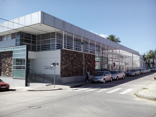 Banco Camec