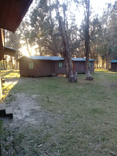 Banco Camping Punta Espinillo Free