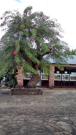 Banco Carlos Gardel Museum