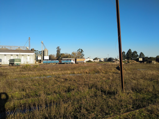 Banco Casarone Agroidustrial