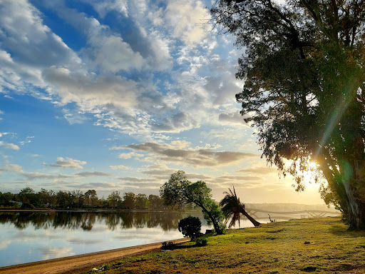 banco El Placer, Zona Joven. Park