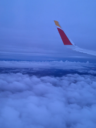 Banco Iberia Airlines