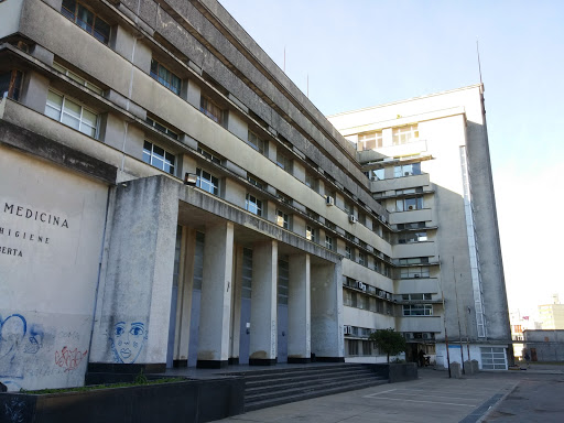 Banco Institute Of Hygiene