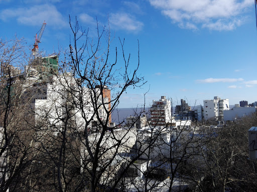 Banco Liceo Nº 1