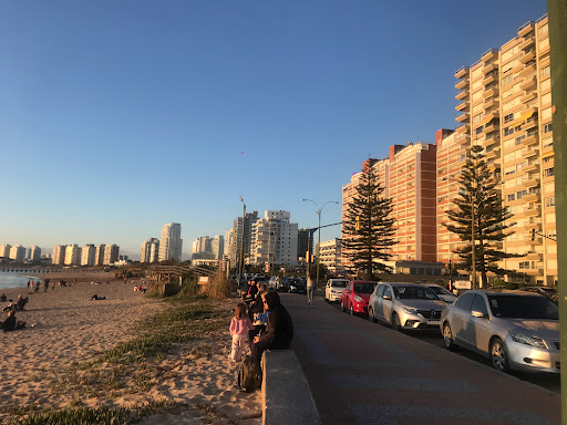 Banco Malecon Iii