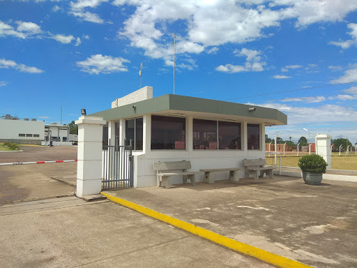 Banco Marfrig - Frigorífico Tacuarembó S.A.