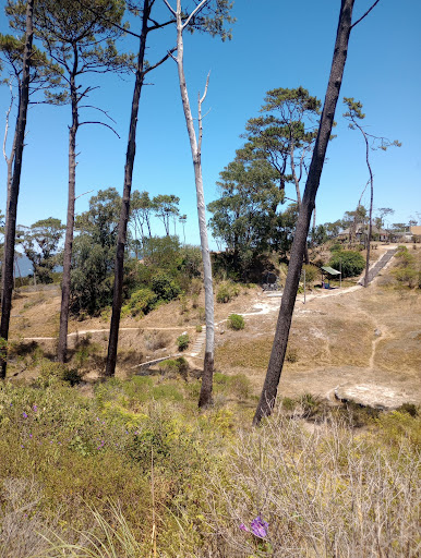 Banco Mirador Del Fortin