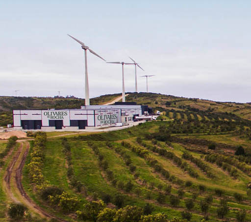 banco Olivares De Rocha - Establecimiento Loma Alta