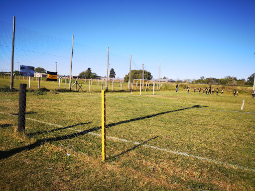 banco Peñarol Baby Fútbol