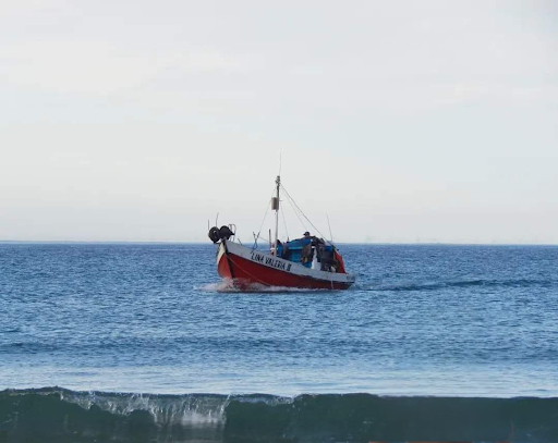 Banco Pescadería Punta Del Diablo