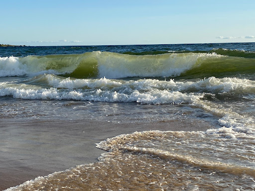 Banco Playa Brava
