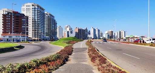 Banco Playa Brava