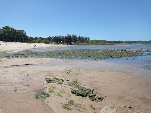 Banco Playa Pajas Blancas