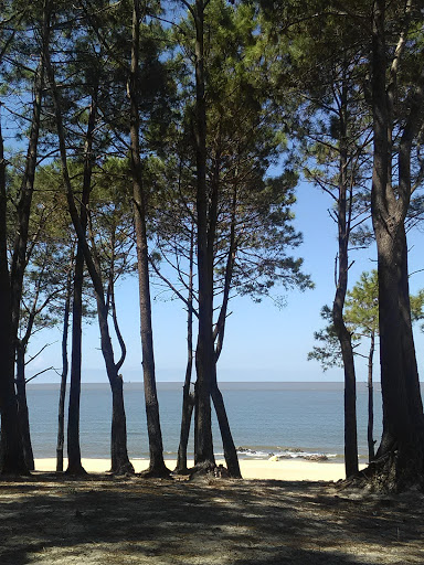 Banco Playa Punta Yeguas