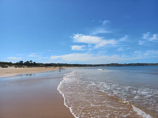 Banco Playa Solanas