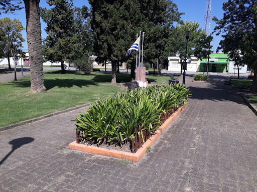 Banco Plaza De Los Cerrillos