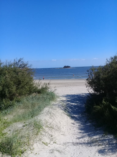 Banco Punta Del Descanso