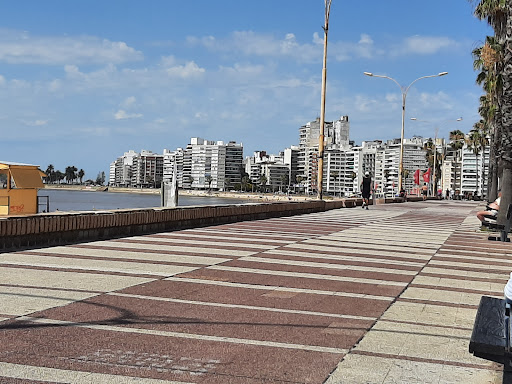 Banco Rambla De Pocitos