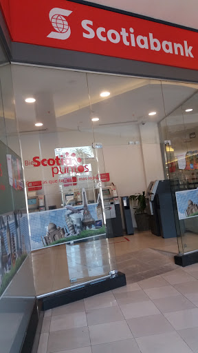 Banco Scotiabank