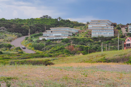 Banco Sierra Ballena 2
