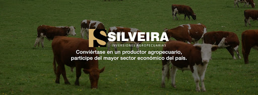 Banco Silveira Negocios Rurales
