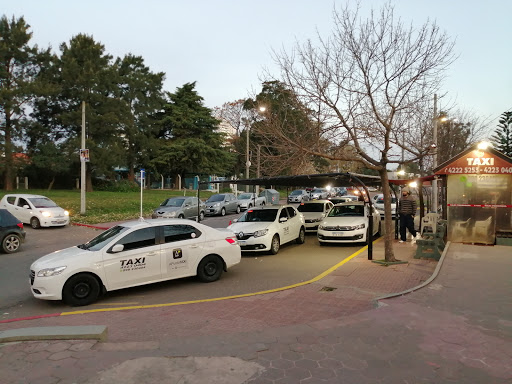 Banco Taxi Terminal Maldonado