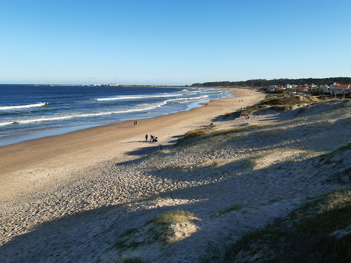 Banco Watch Southern Right Whales